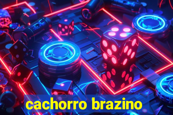 cachorro brazino